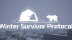 Download Winter Survivor Protocol
