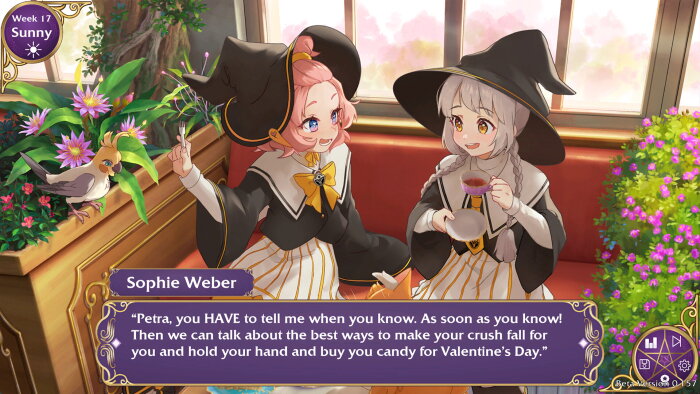 Witch Please! Crack Download