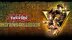 Download Yu-Gi-Oh! EARLY DAYS COLLECTION