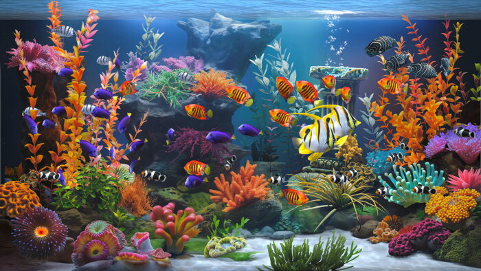 Zen Aquarium Download Free