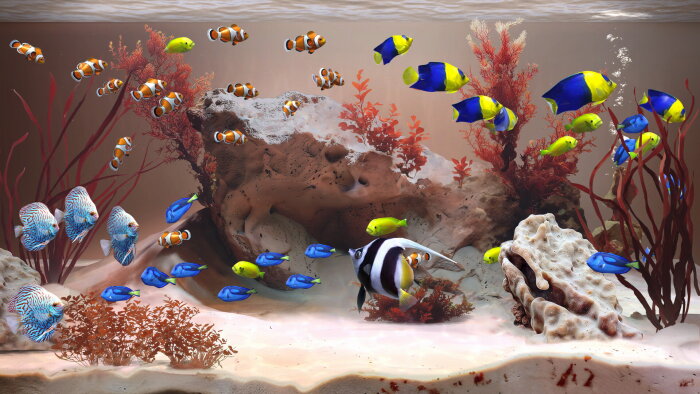 Zen Aquarium Free Download Torrent