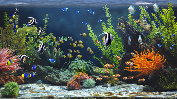 Zen Aquarium Crack Download